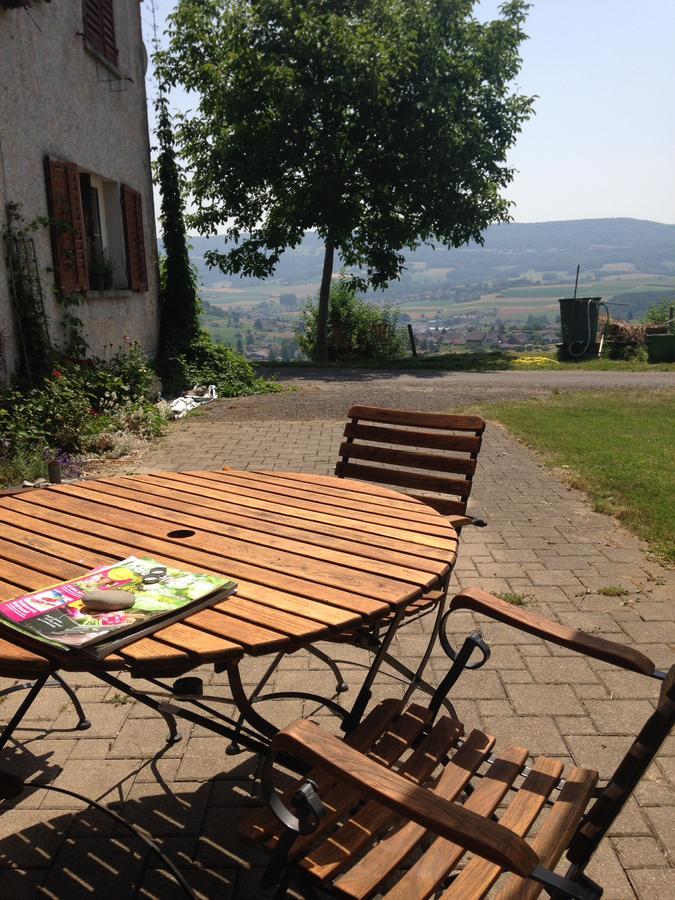 Bnb Im Waldhof Bachenbulach Esterno foto