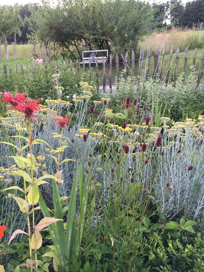 Bnb Im Waldhof Bachenbulach Esterno foto